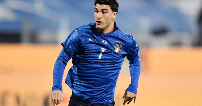 草泛着微光 草泛着微光